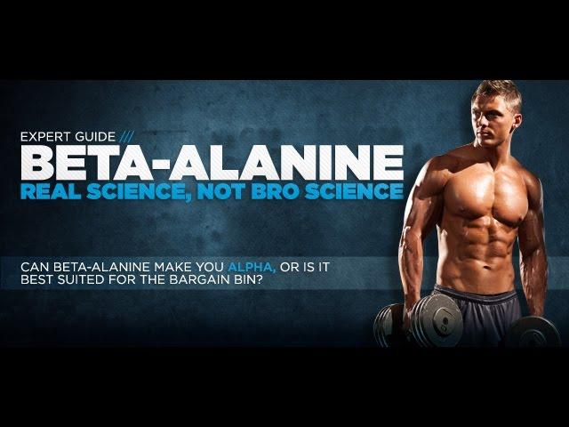 תוסף חומצות אמינו בטא אלנין אלאנין - Amino Acid Beta Alanine