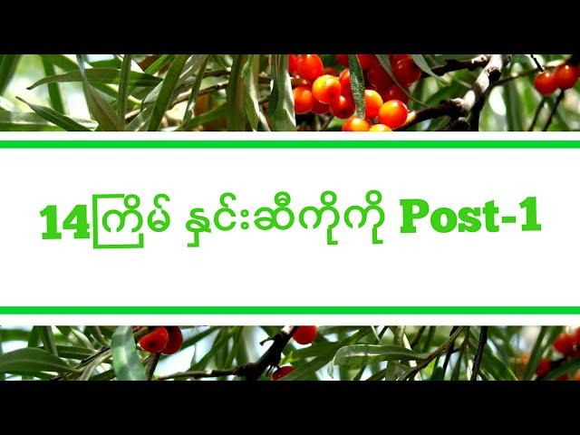 14ကြိမ် နှင်းဆီကိုကို Post-1(လွမ်း​နေကြပြီလားဗျာ)