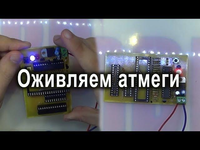 Как разблокировать Atmega8 через Fusebit doctor