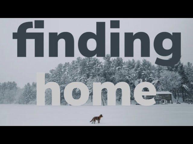 Finding Home (2021) Original Score | Film Music | Frank Jacobs Music.