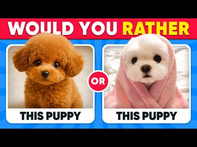 Would You Rather...? ANIMALS Edition  Quiz Kingdom