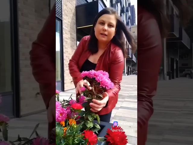 «Песня "Знай", поэт — Михаил Гуцериев, музыка — Игорь Крутой. Исполняет Виноградова Наталья.