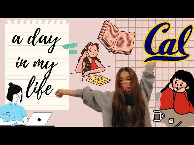 DAY IN THE LIFE  - uc berkeley data science student!