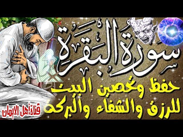 سورة البقرة كاملة مكررة لطرد الشياطين والجن والسحر والحسد والعين جلب الرزق تحصين البيتsuart albaqara