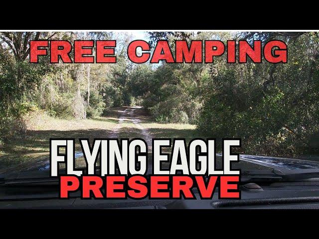 Camping for free at Flying Eagle Preserve Welcome to the wild Florida