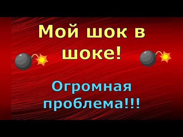 Лeна LIFE / Лена и Ваня LIFE / Мой шок в шоке! Огромная проблема!!! / Обзор