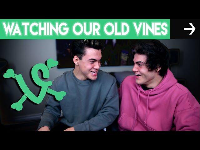 Watching Our Old Vines!