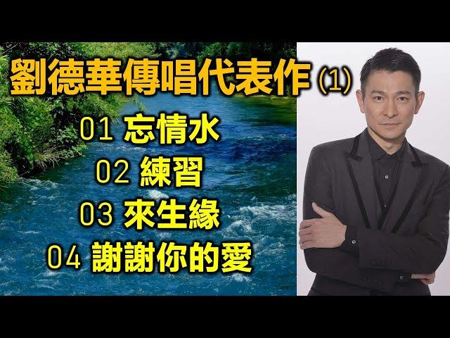 劉德華傳唱代表作 (1)  01 忘情水  02 練習  03 來生緣  04 謝謝你的愛（歌詞字幕）