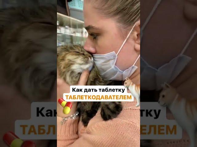 Как дать таблетку таблеткодавателем