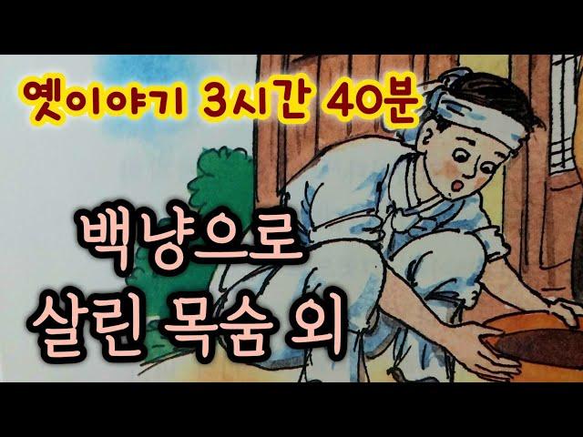 중간광고없는 3시간 옛날이야기 모음/백냥으로 살린 목숨 외/중간광고없음/잠자리동화 모음/옛날이야기동화/옛이야기/민담,전설/고전이야기