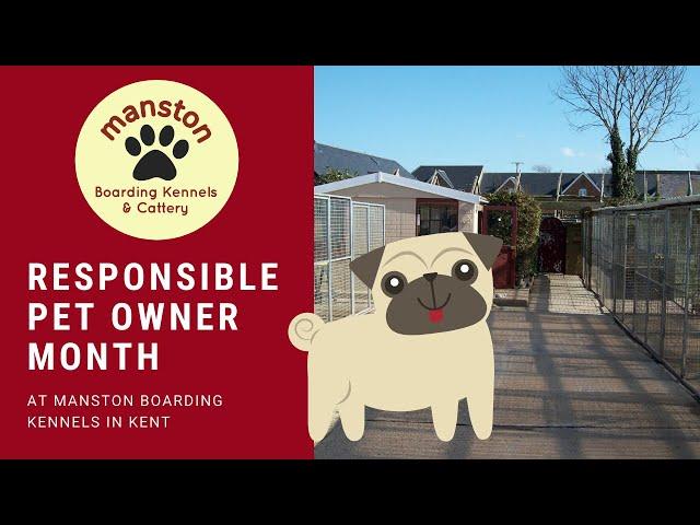 Dog Boarding Margate Kent -  Manston dog Boarding Kennels - Responsible Pet Owner Month