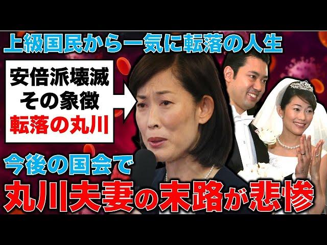 あまりに悲惨！丸川珠代夫妻の末路。安倍派急落の象徴。上級国民から一気に転落の人生。元朝日新聞・記者佐藤章さんと一月万冊