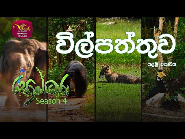 Sobadhara - Sri Lanka Wildlife Documentary | 2020-07-10 | Wilpattu National Park (විල්පත්තුව)