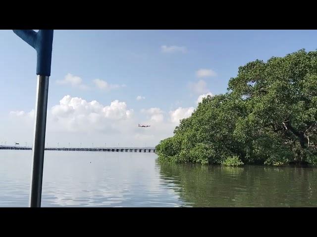 SELAMATKAN MANGROVE BALI