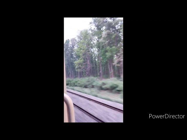 Train View of Kushmi Jungle Gorakhpur (UP) | #gorakhpur #jungle Kushmi jungle ka nazara 