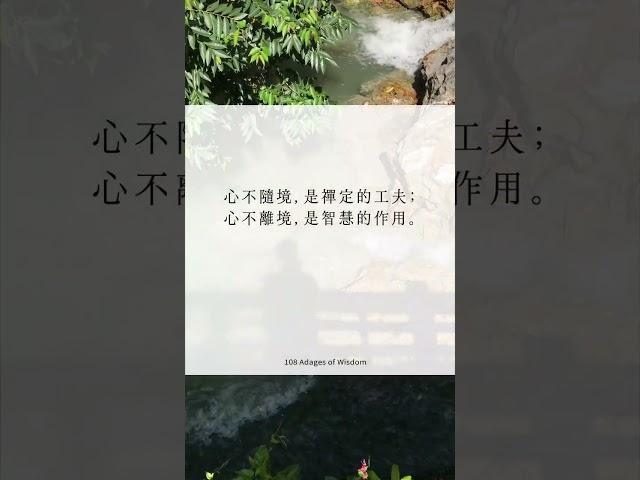 心不隨境，是禪定的工夫；心不離境，是智慧的作用。｜聖嚴師父108自在語 #shorts #mindfulness #zen #108