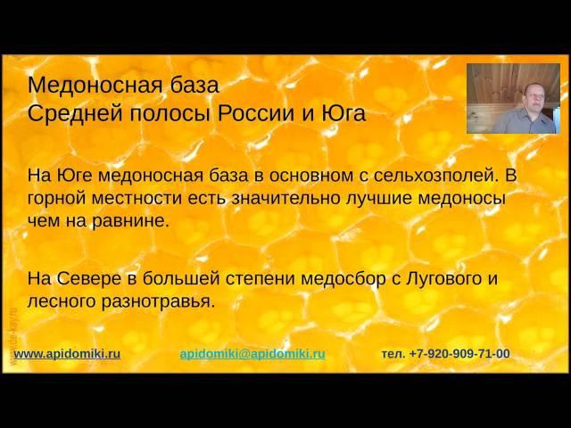 Пчеловодство Средней полосы и Югом.  Владимирский улей лежак.