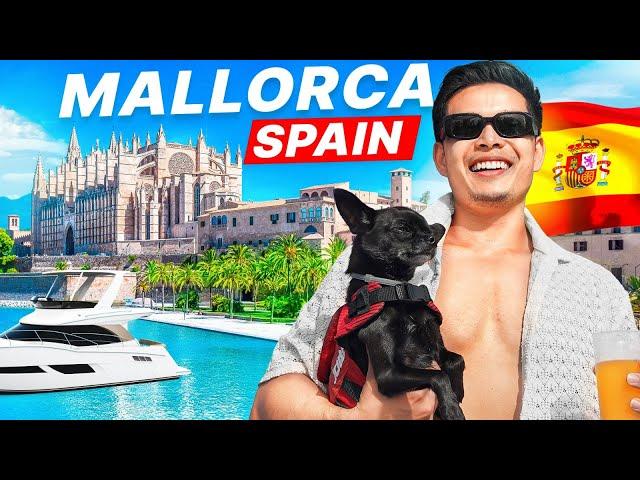 25 Things You MUST DO In Mallorca In 2024  Complete TRAVEL GUIDE!
