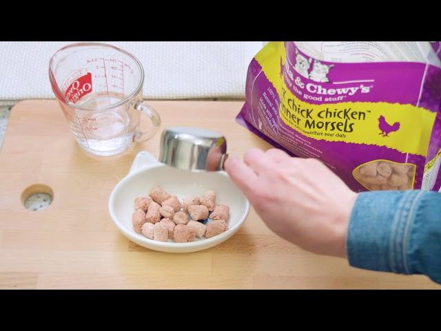 How to Feed Stella & Chewy's Frozen and Freeze Dried Raw Cat Food