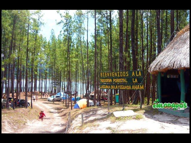 RESERVA  FORESTAL LA YEGUADA-TOUR