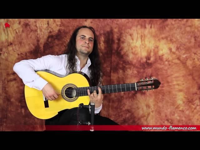 Lester Devoe 2014 flamenco guitar played by Amir John Haddad