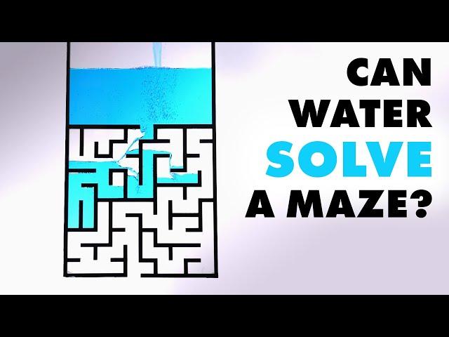 Can water solve a maze?