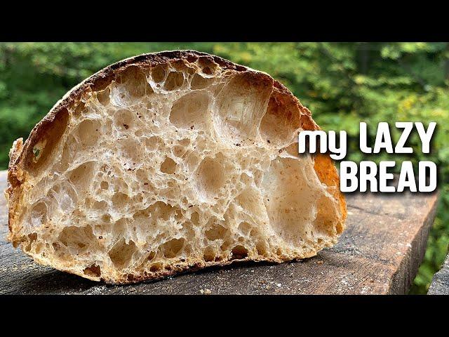 My LAZY BREAD. The most EASIEST [OPEN CRUMB] sourdough bread. | by JoyRideCoffee