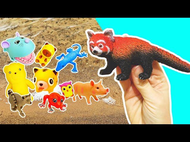 Learn Animal Names & Facts at the Lake for Kids: Mouse Tiger Dog Bear