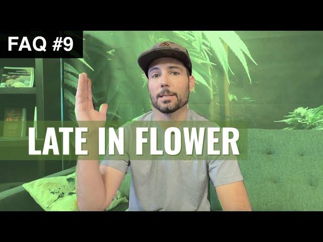 BuildASoil: FAQ #9: LATE FLOWER FAQ