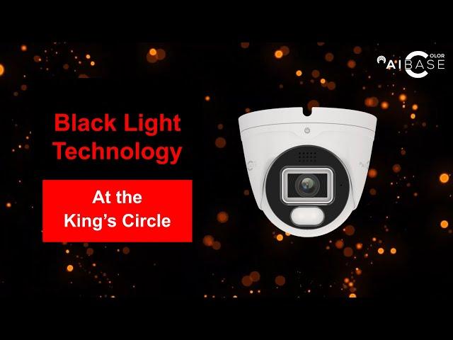 AiBase Color - Black Light Quality Showcase by the King's College Circle