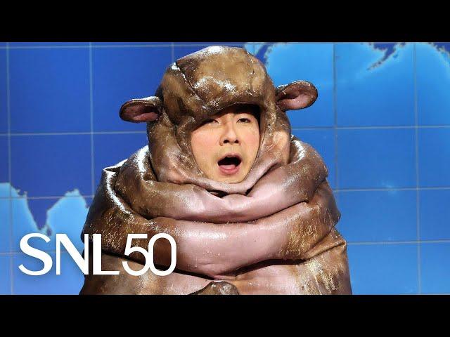 Weekend Update: Baby Hippo Moo Deng on Fame - SNL