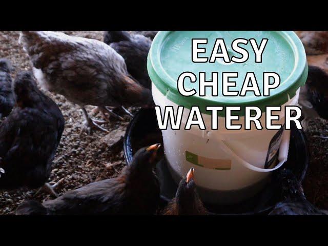 How to Make a DIY Chicken Waterer From a 5 Gallon Bucket