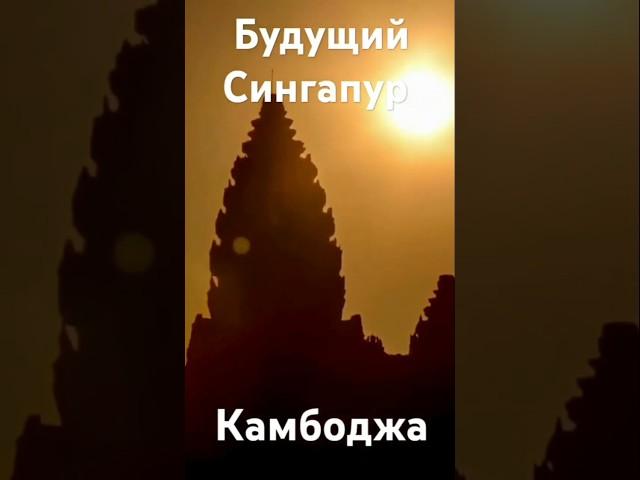 #инвестор#дом#квартира#новостройка#Камбоджа#квартираотзастройщика#инвестируй#недвижимость#ии#азия#юг