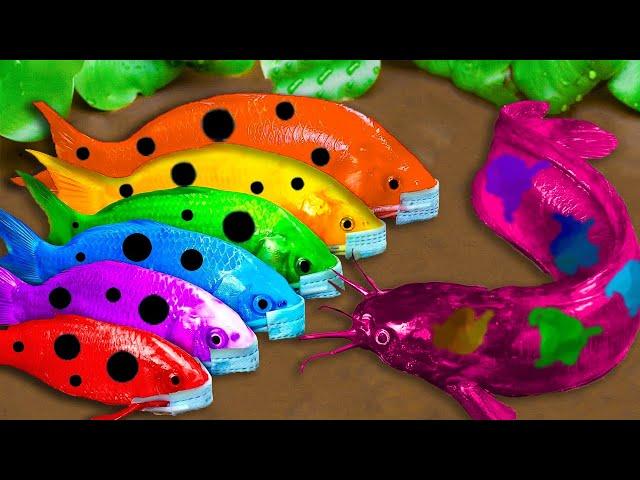 Top 5 Episodes Crocodiles Hunt Colorful Koi, Catfish Primitive Cooking Eels - Stop Motion ASMR CoCo