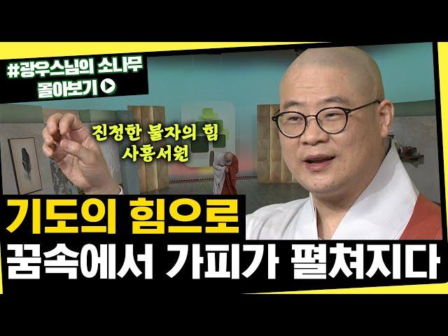 기도의 힘으로 꿈속에서 가피가 펼쳐지다 [초심으로 돌아가는 광우스님의 소나무 시즌3 몰아보기]