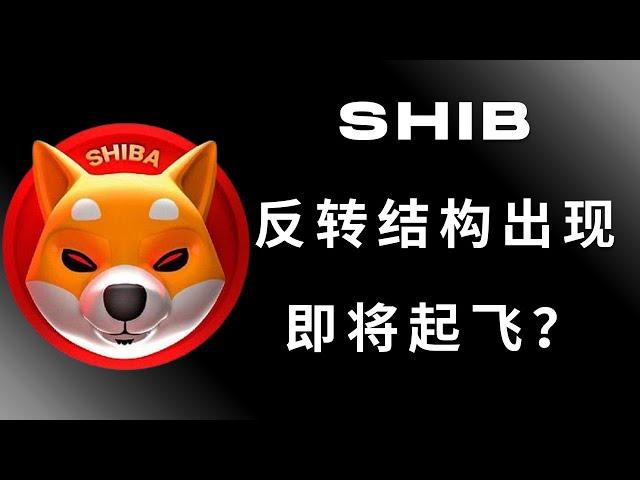 柴犬币 shib币 pepe 以太坊 ETF 比特币 BTC 区块链 加密货币 最新行情走势分析，SHIB反转结构出现，即将起飞？上涨目标在哪里？比特币再次站上日线级别ema21回调大概率结束！