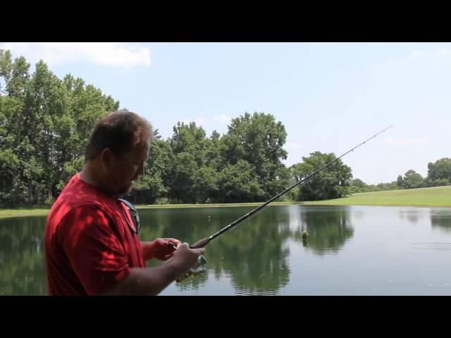 Bass Fishing In My Country Pond, Part 1