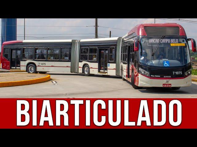 Maior Ônibus de São Paulo (Biarticulado) Em Um Passeio Pela Zona Leste - Vídeo 8K