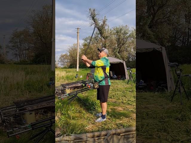 "Булькнув" і поперло #fishing