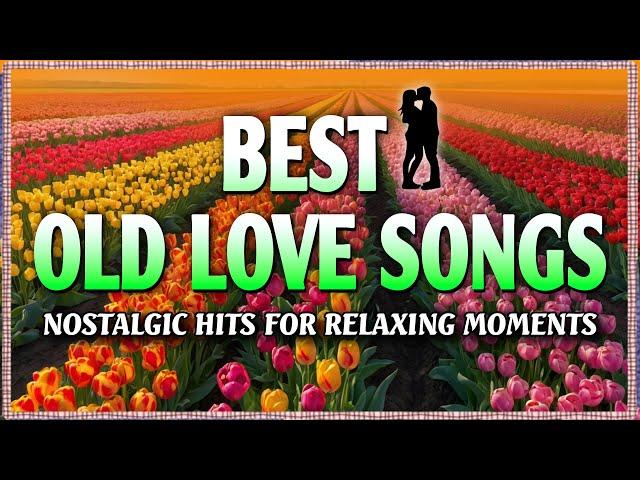 Best Old Love Songs Playlist ️ Nostalgic Hits for Relaxing Moments ️ (With Lyrics)