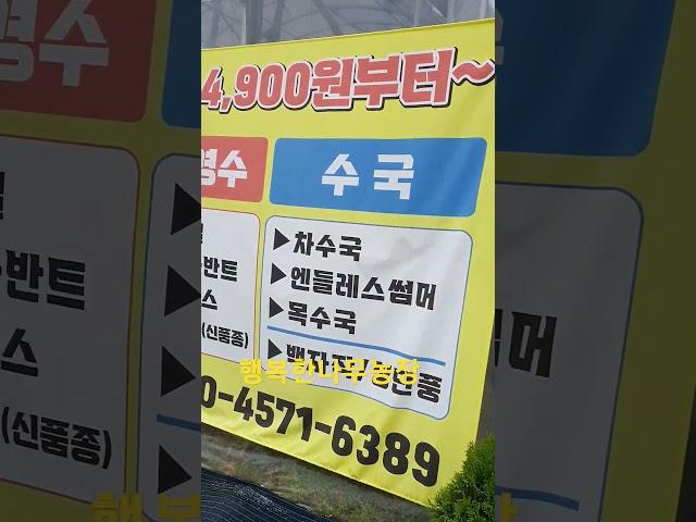 행복한나무농장#010-4571-6389#상당구