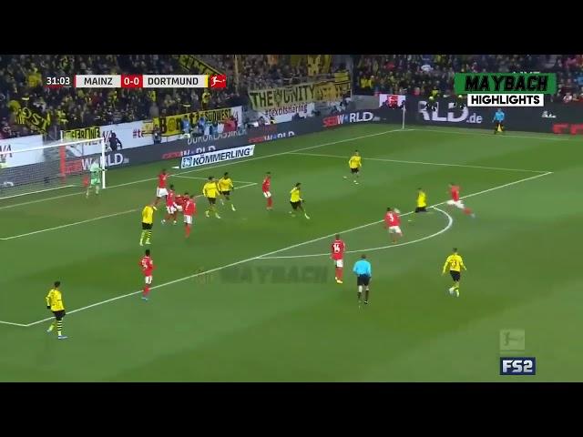 Marco Reus goal against Mainz In Bundesliga