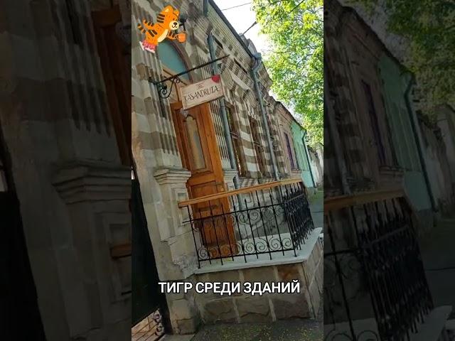 Архитектура Кишинёва. #молдова #кишинев #путешествияпоевропе #архитектура #полосатыездание