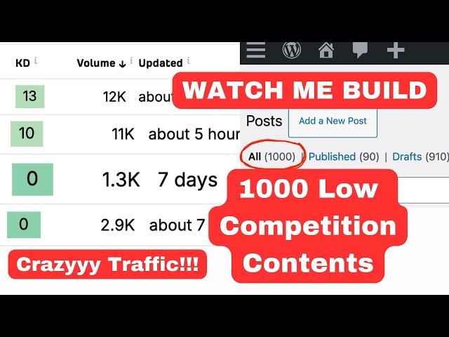 Insane Traffic: 1000 Low Competition and High Search Volume Keywords