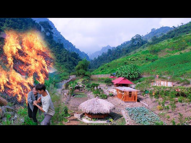 BIG FIRE! Build a SUSTAINABLE House, Find The CAUSE why the Vegetable Garden is Destroyed At Night