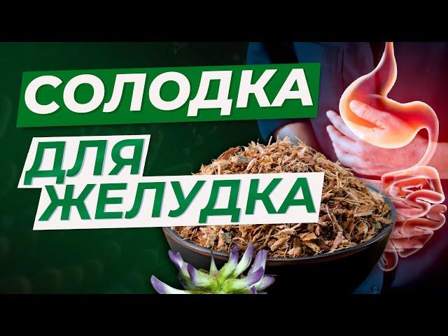 СОЛОДКА ДЛЯ ЖЕЛУДКА. ЗАЖИВЛЯЕМ СЛИЗИСТУЮ ЖКТ