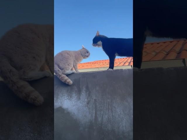 ㅤ