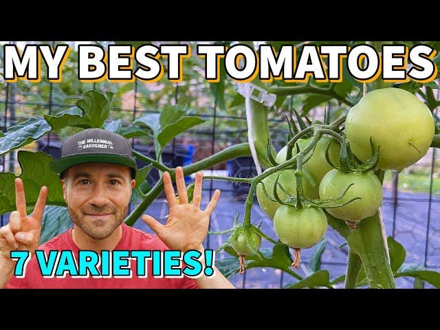 7 Tomatoes I MUST Grow EVERY Year: My BEST Tomato Varieties