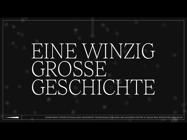 Hefe – eine winzig große Geschichte