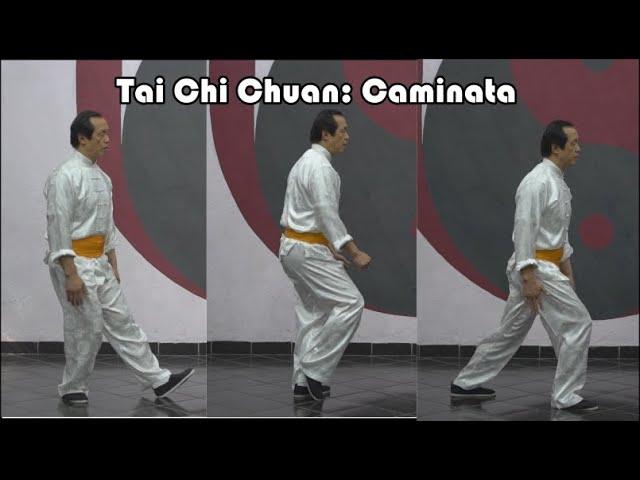 Básicos del Tai Chi Chuan: Caminata